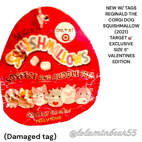 NWT OG REGINALD THE CORGI SQUISHMALLOW TARGET EXCLUSIVE VALENTINE DAY EDITION 5” - Picture 3 of 8